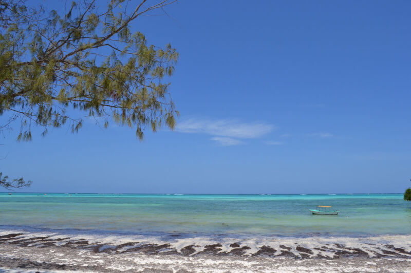 image of beach in Zanzibar