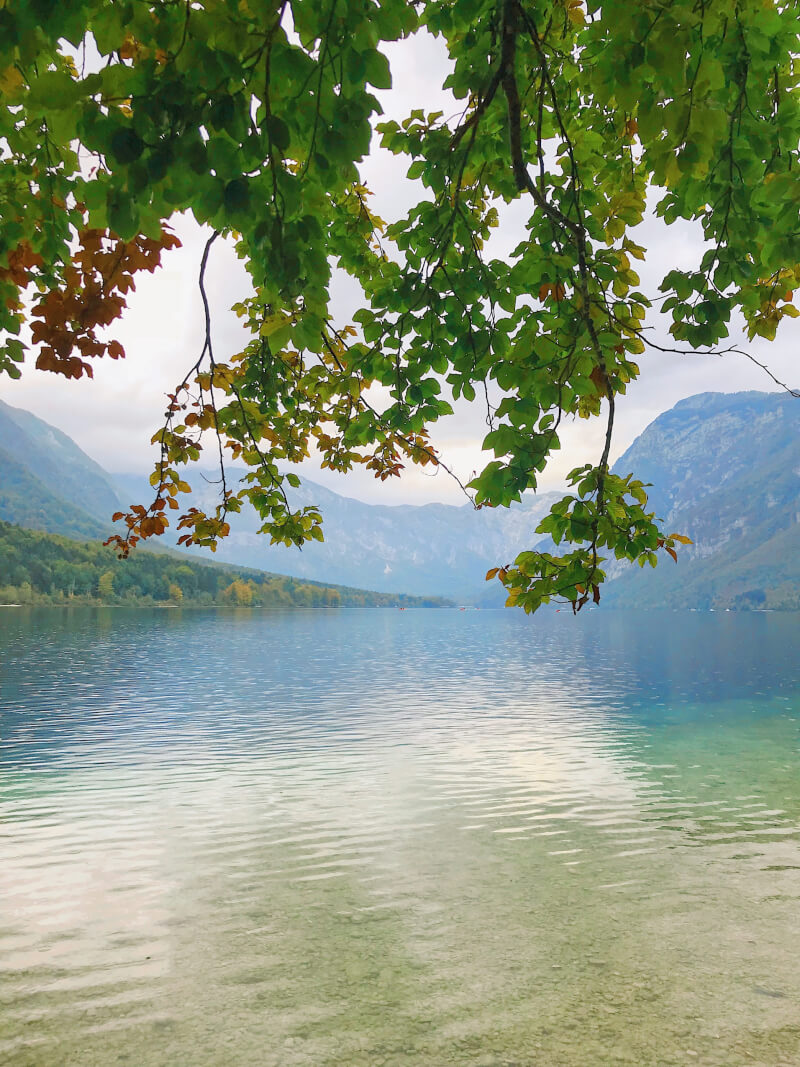 image of Lake Bohinj