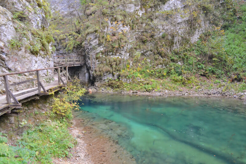 Image of Vintgar Gorge