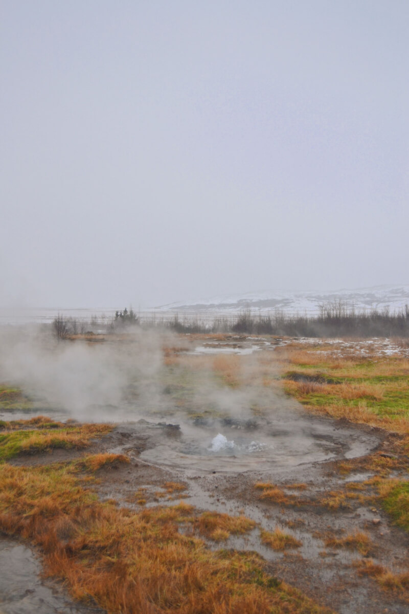 Image of Geyser on golden circle tour