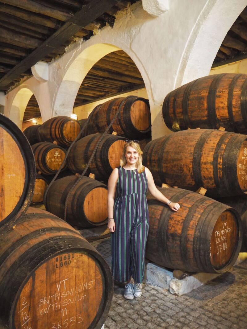 image of cellar on port wine tour in porto