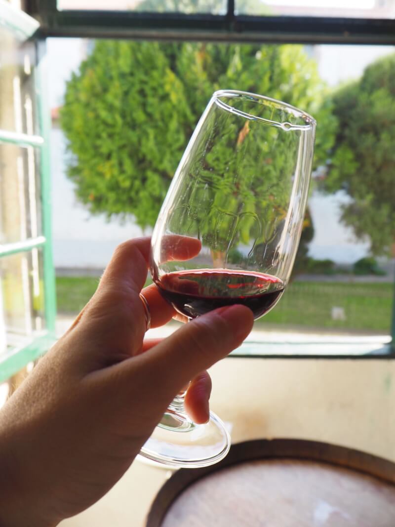 Image of a hand holding a glass of port on a Porto Walkers Port tour is one of the top things to do with 2 days in Porto, Portugal