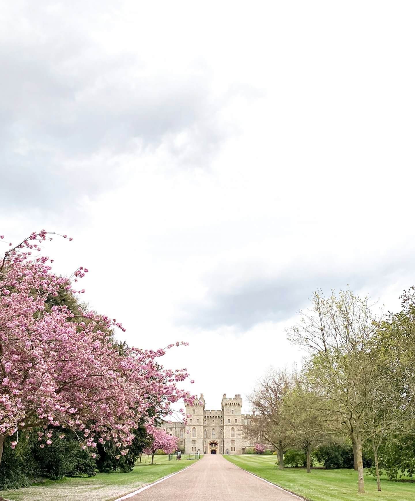 image of windsor castle in spring