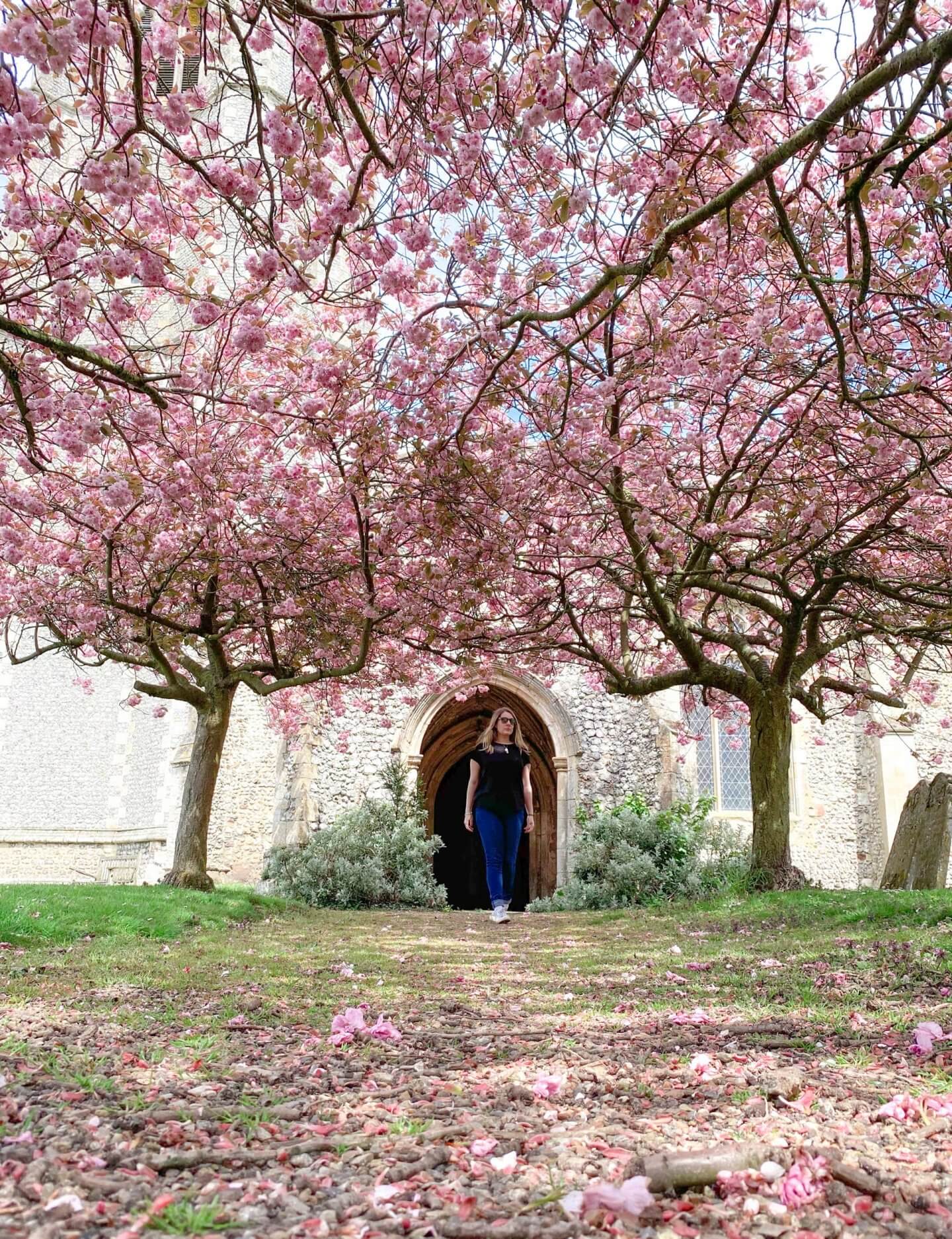 image of heydon, Norfolk in Spring - 2021 round up