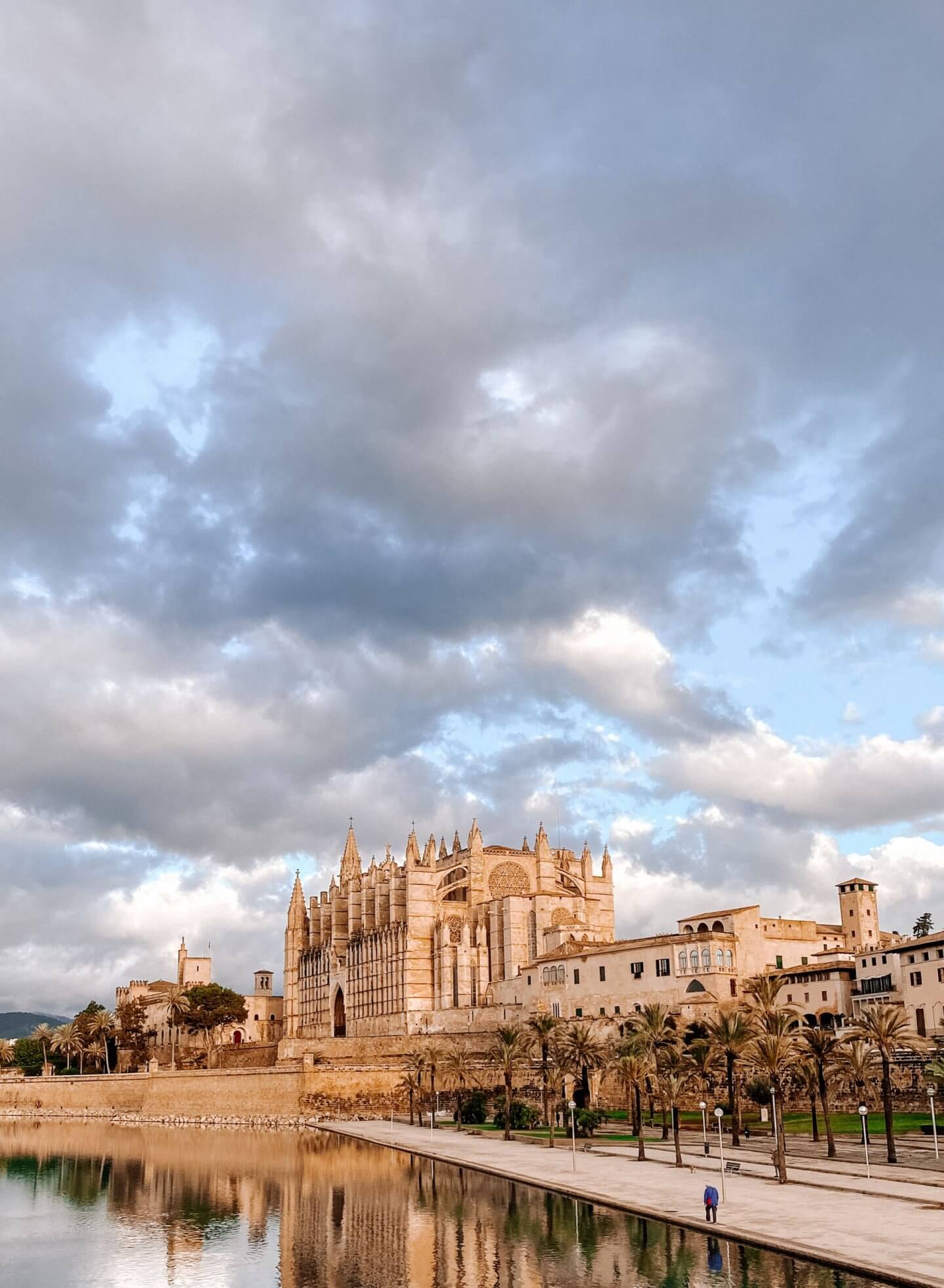 image of palma cathedral