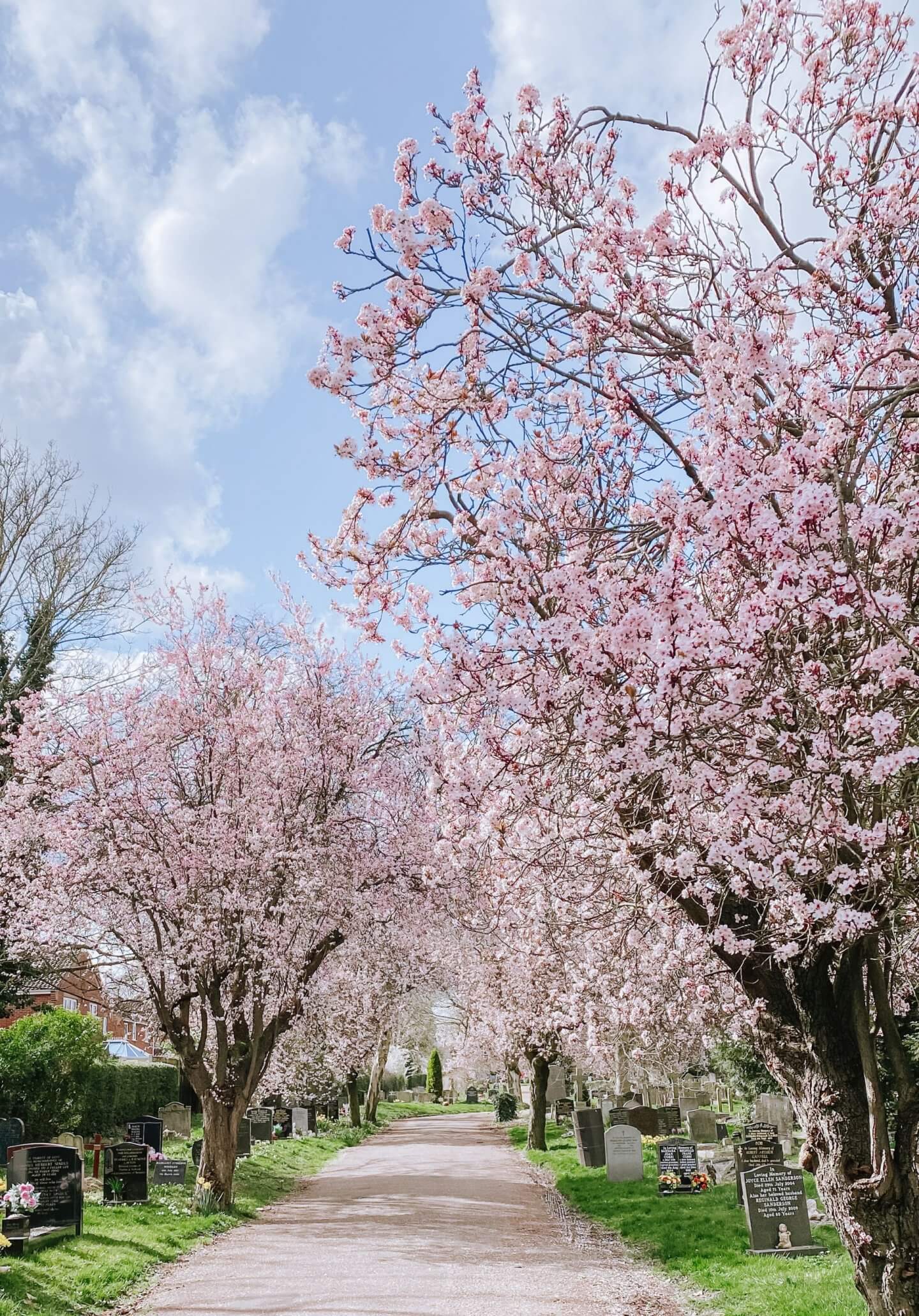 image of earlham cemetery in Spring, Norwich