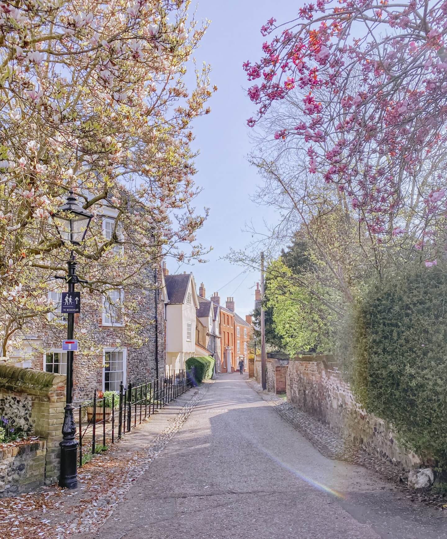 image of norwich cathedral close in spring