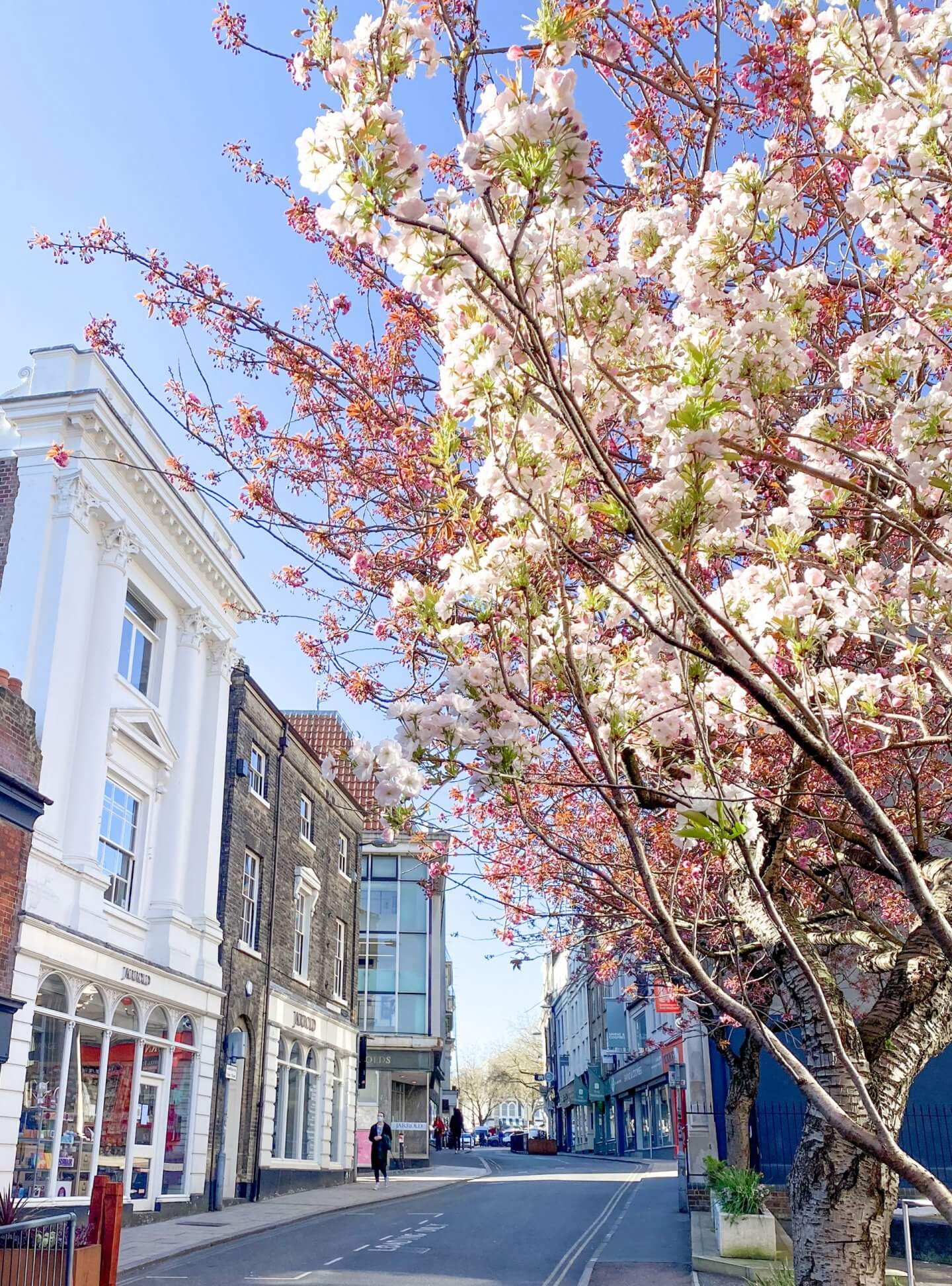 image of spring in Norwich - 2021 round up
