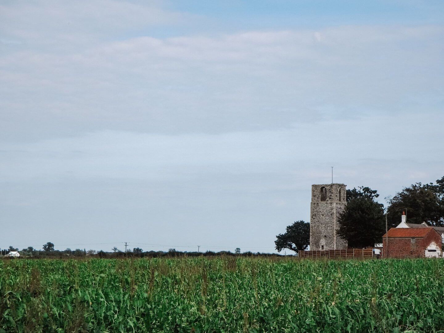 Ruins of St Peter, Bastwick