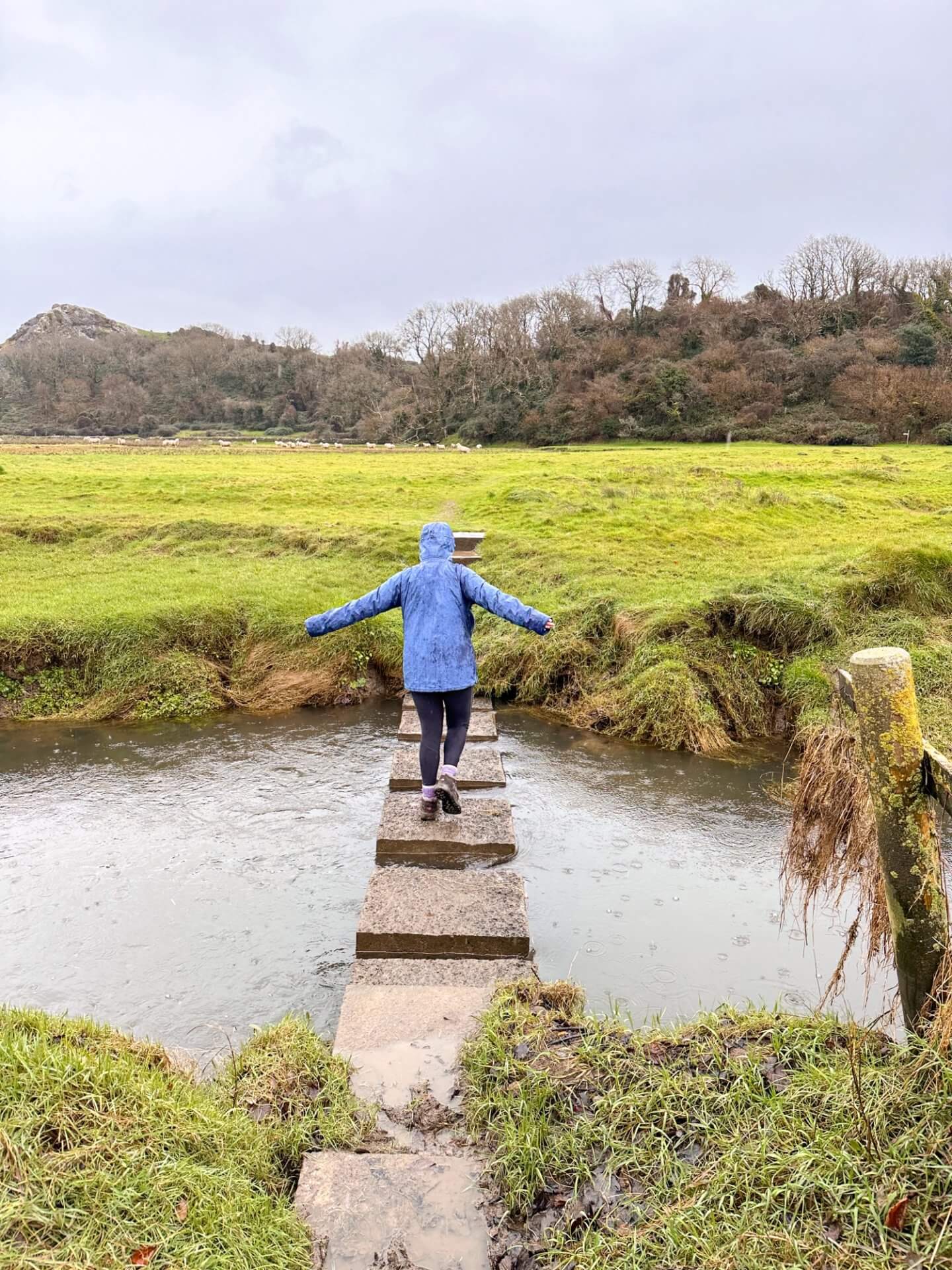 Image of a person stepping through a river on stepping stones on the Gower Coast Path