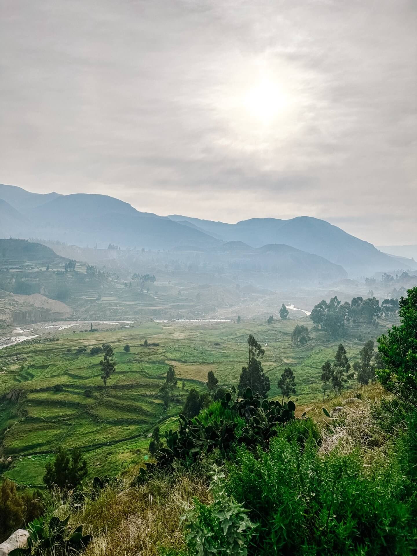 image of the Pre-Inca farming terraces in the Colca Canyon in Peru