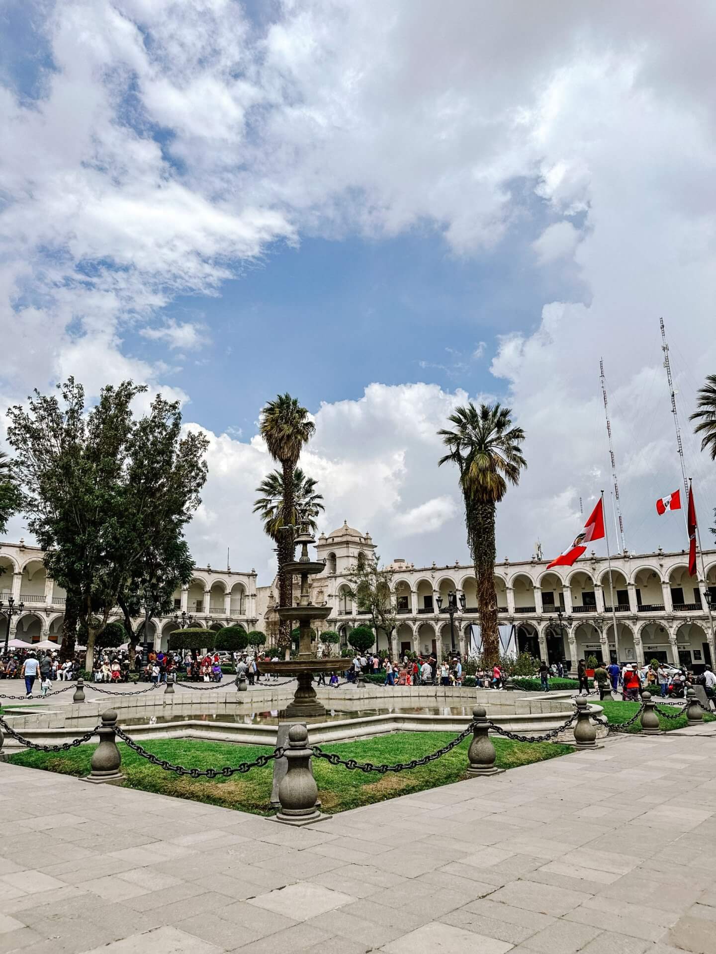Image of tall palm trees in Plaza de Armas, Arequipa 