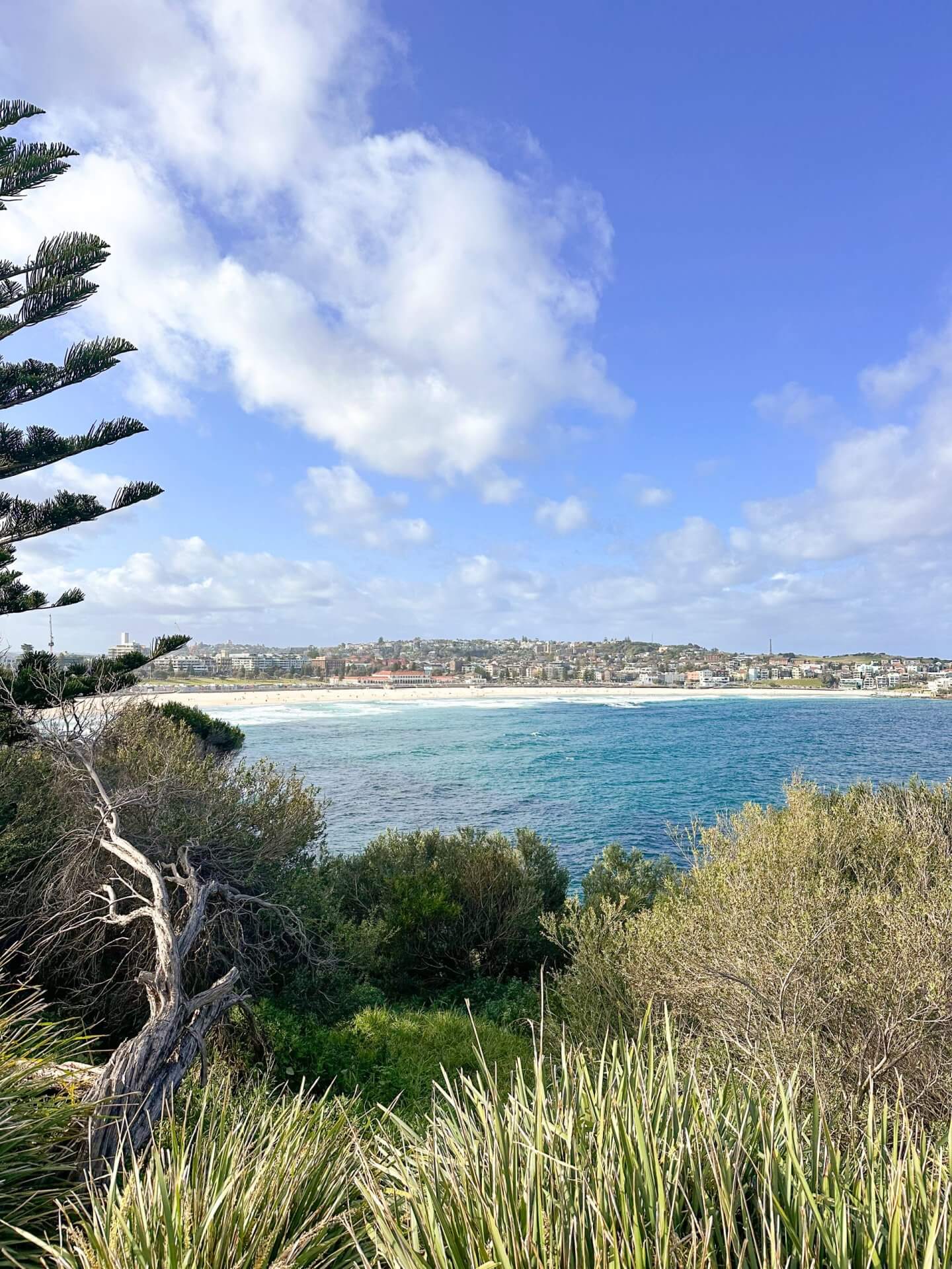Image from Bondi to Coogee walk - free fun things in Sydney
