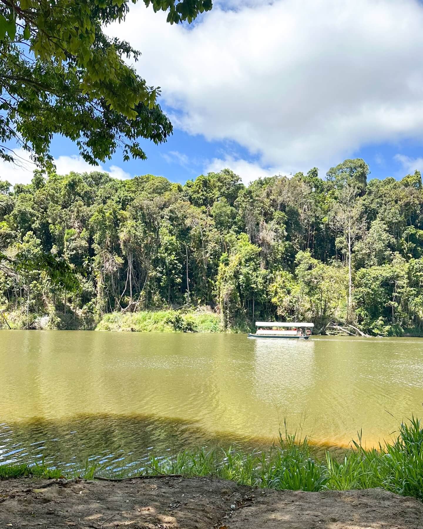 image of the Barron River in Kuranda, with a boat on it
