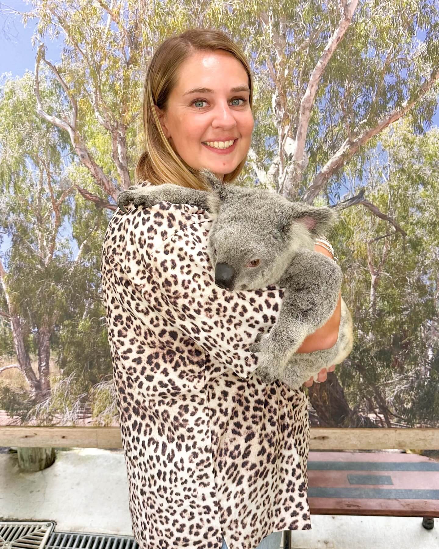 image of a woman wearing a leopard print top holding a koala at Kuranda Koala Gardens