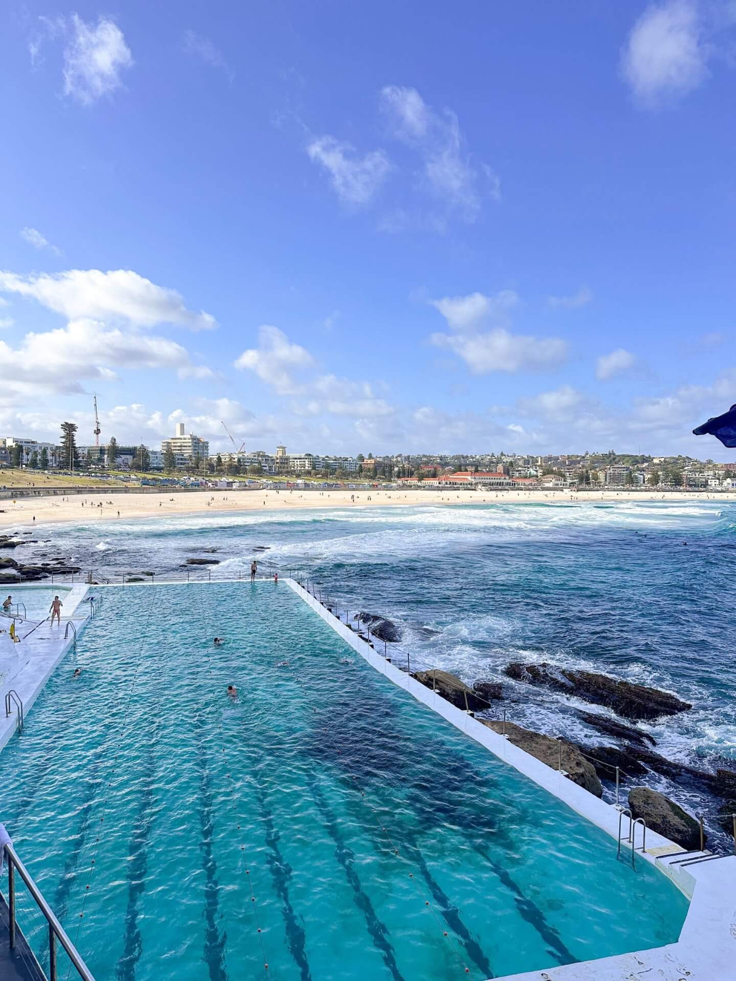 image showing looking out over Bondi Icebergs towards Bondi Beach