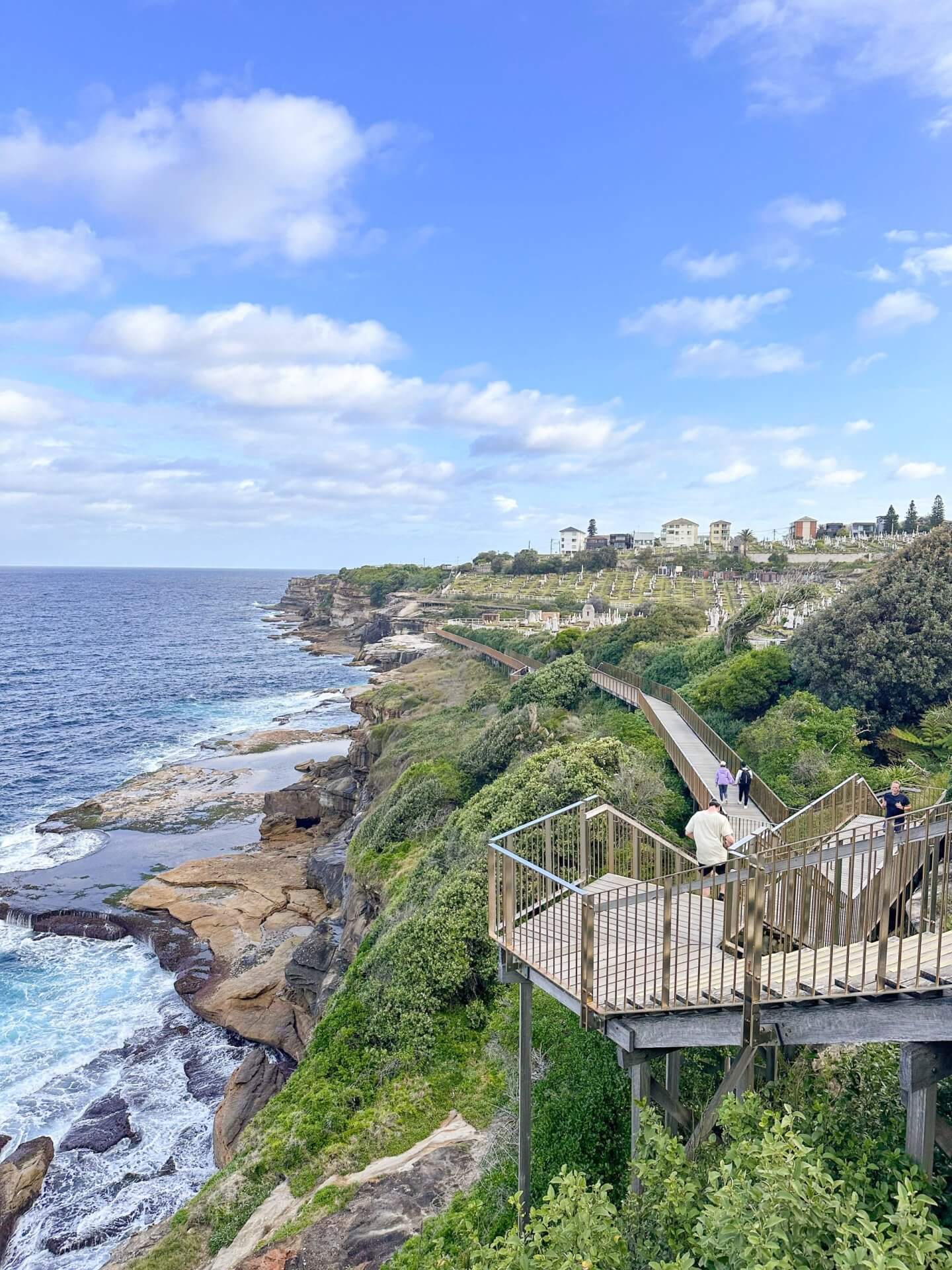 image of steps leading down to the coast on the bondi to coogee walk