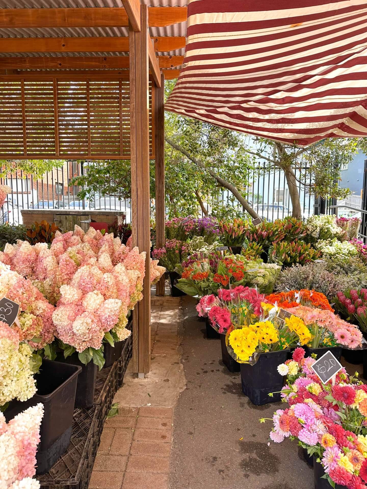 image of flowers at a flower stall in Bondi Farmers Market