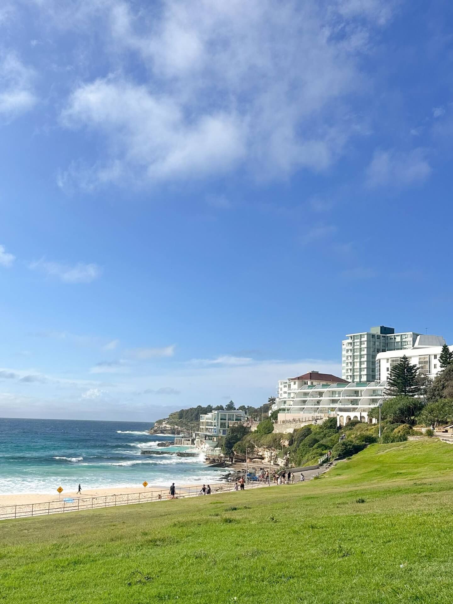 image of grass in front on Bondi Beach looking towards Bondi Icebergs
