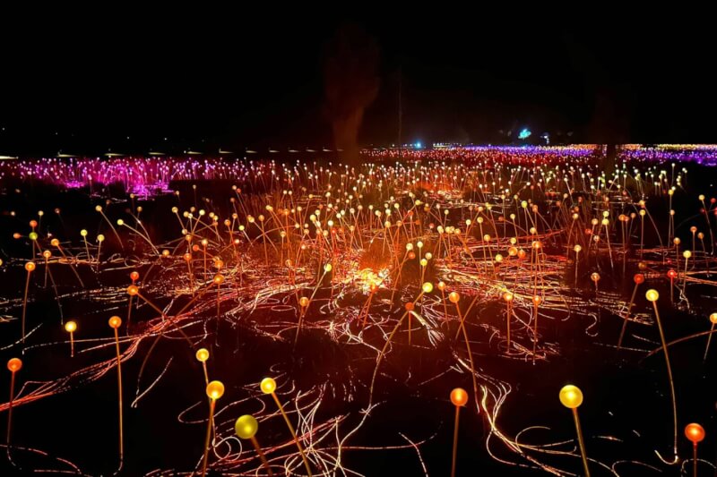 image of the bulbs and lit up wires of the field of light at Ayers Rock Resort