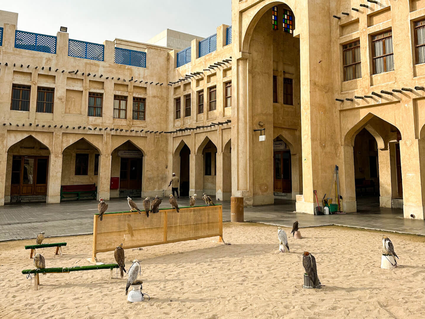 Falcons are sitting on perches set on sand in front of traditional buildings at Falcon Souq in Doha, Qatar