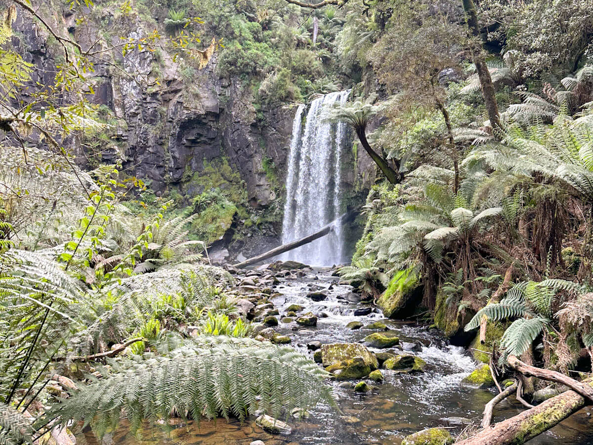Hopetoun falls cascading down into a rocky stream with ferns and greenery in the foreground