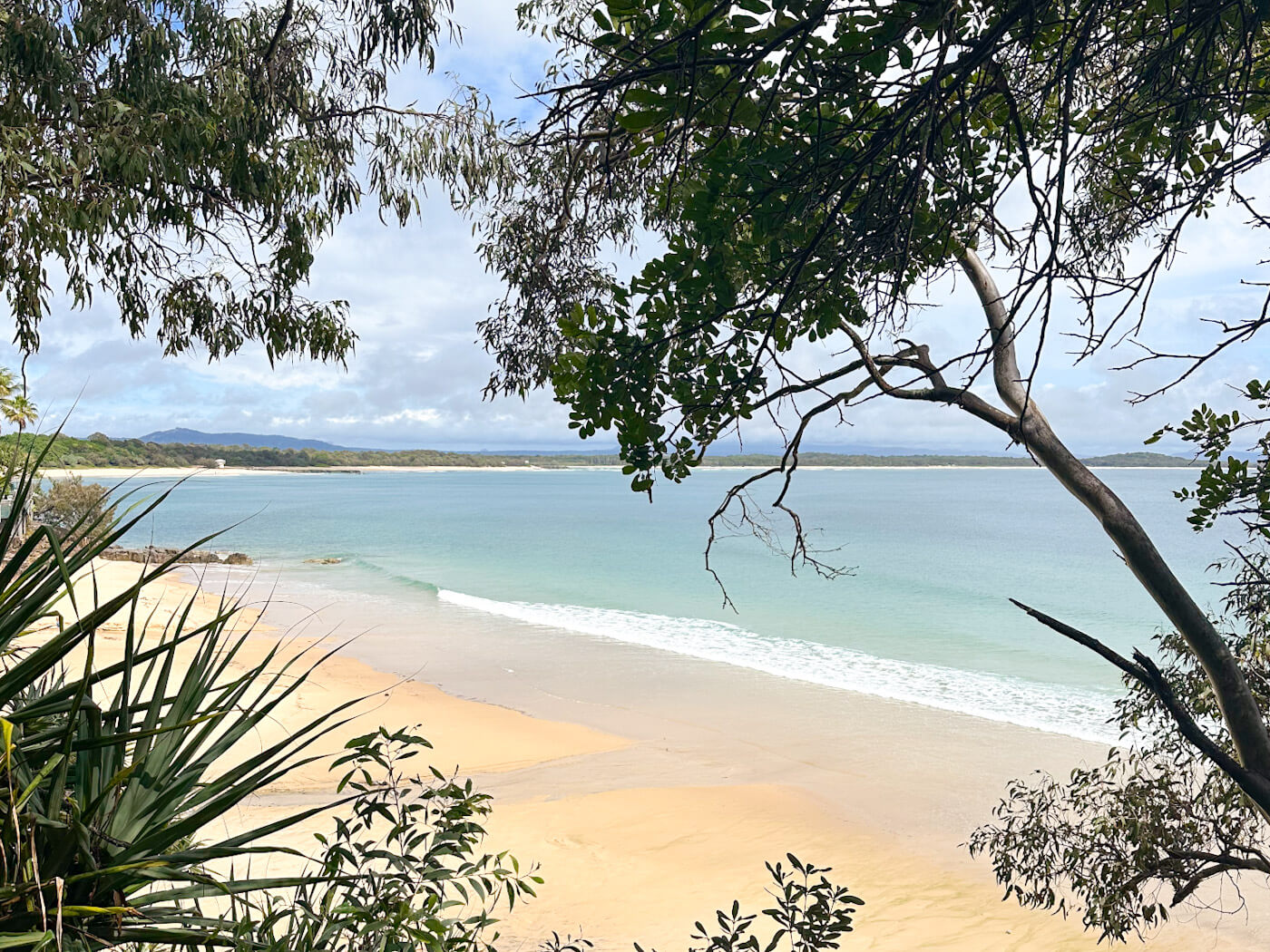 view of the bright blue sea and golden sand at little cove beach in Noosa, Australia look through trees