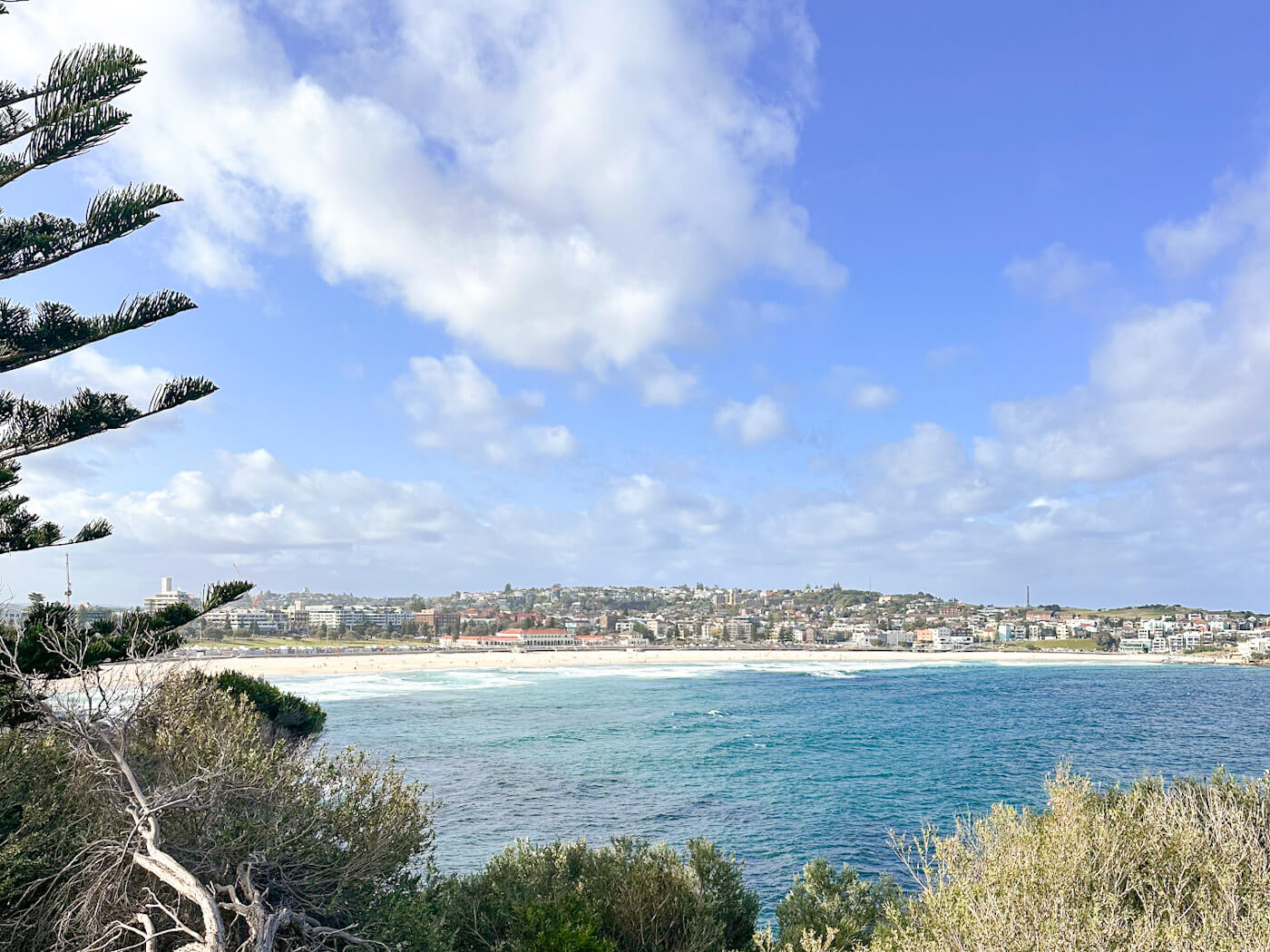 Bondi Beach on a sunny day, featuring a turquoise ocean meeting a sandy shore with distant buildings under a blue, cloudy sky, framed by sparse green trees.