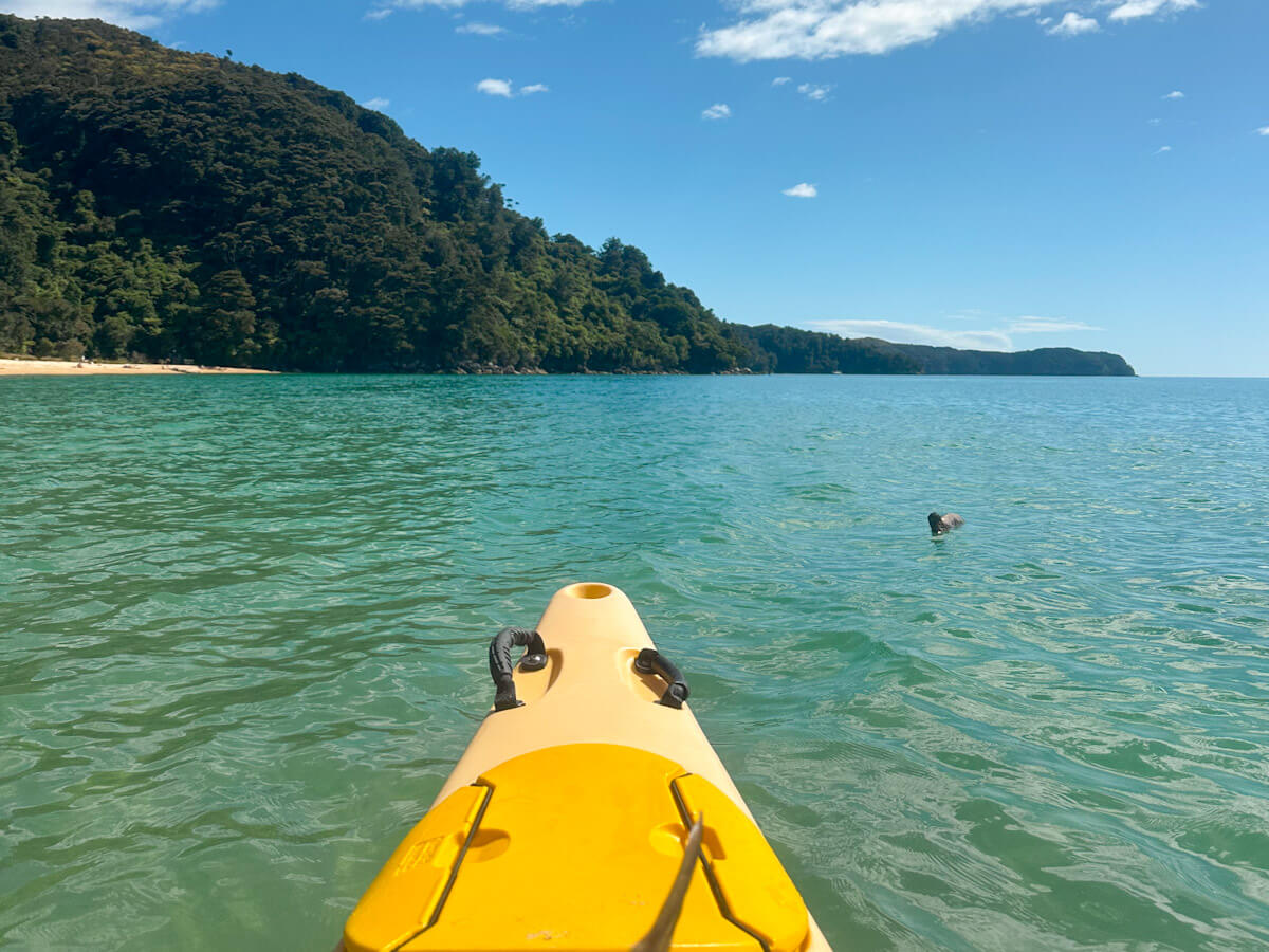 A first-person view from a bright yellow kayak paddling on the clear, turquoise waters of Abel Tasman National Park. The lush green coastline stretches into the distance under a blue sky with scattered clouds.