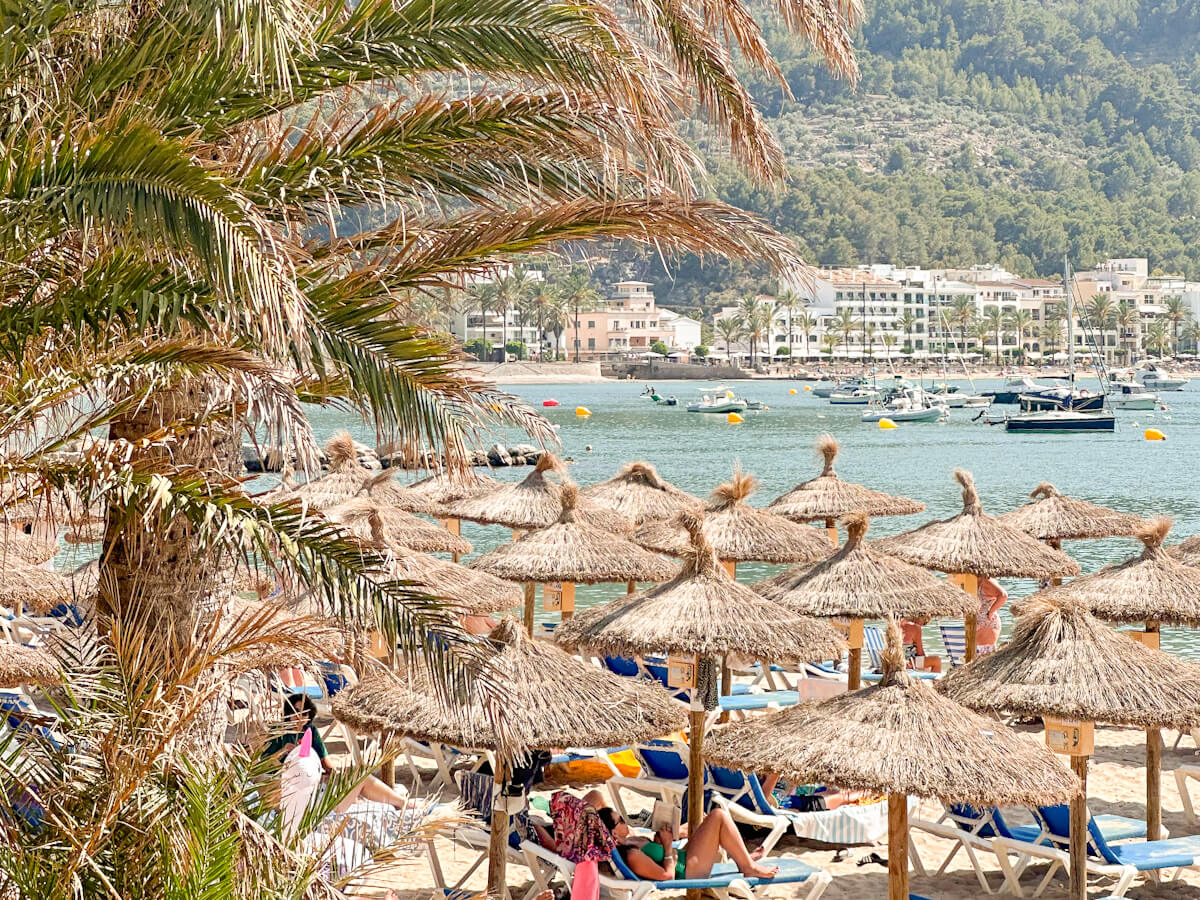 A vibrant beach scene in Port de Soller, Mallorca ,with numerous straw umbrellas and sunbathers, framed by a prominent palm tree, looking out onto a bay filled with boats and backed by charming buildings and mountains.