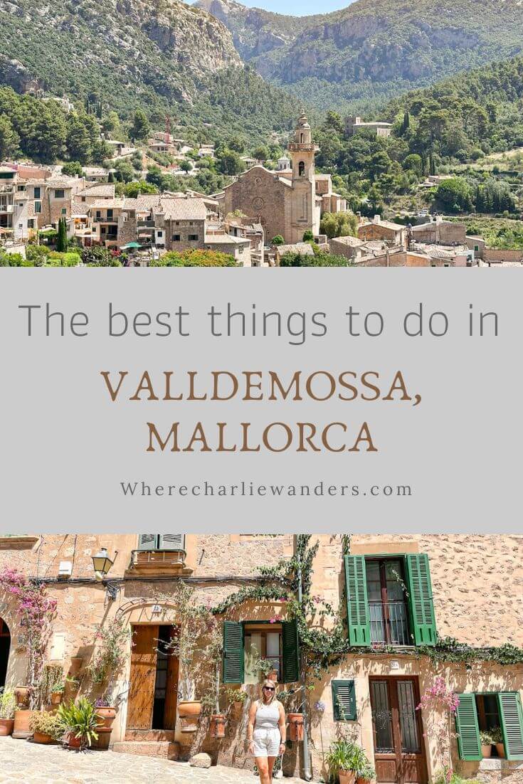 infographic of things to do in Valldemossa