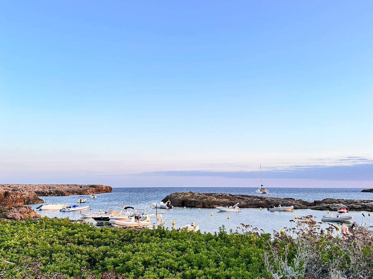 Small motorboats and sailboats anchored in the calm, shallow waters of the Binisafua nautical club at twilight, with low-lying green vegetation in the foreground.