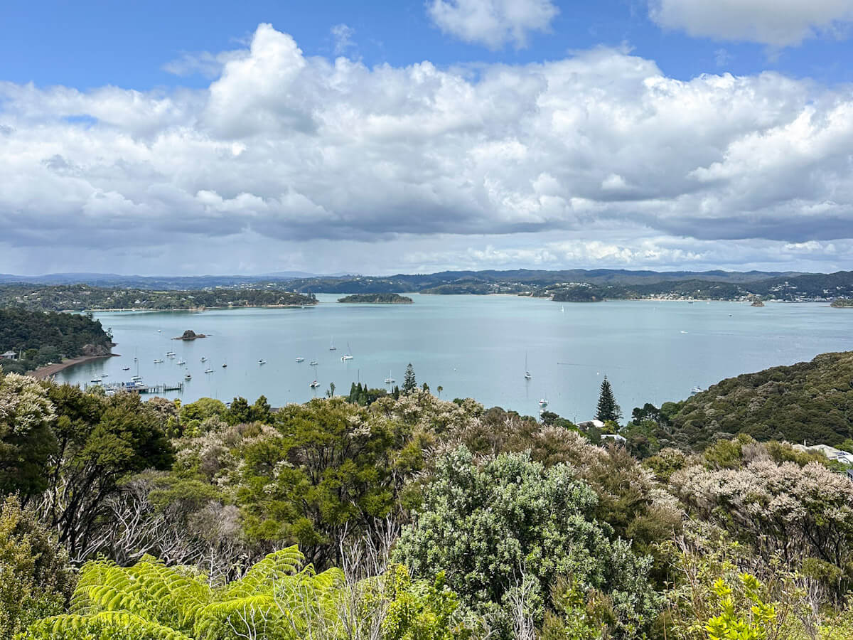 A panoramic view from the lush hillside of Flagstaff Hill in Russell overlooking a wide bay filled with white sailboats, showcasing the sailing culture and what to do in Paihia.