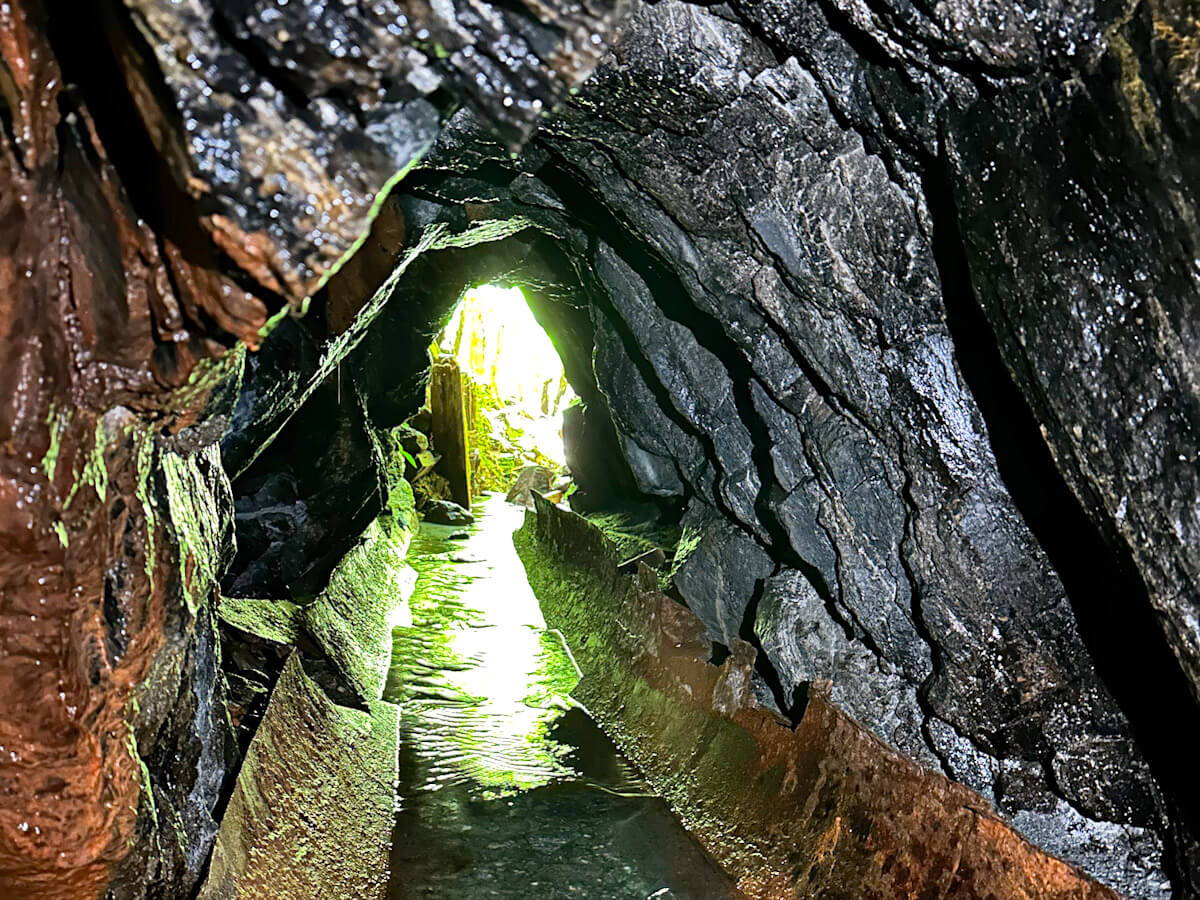Moss-covered tunnel pathway of the old gold mining tunnel on the tartare tunnel hike. It is cut through natural rock formation with glowing green light, one of the most atmospheric things to do in Franz Josef