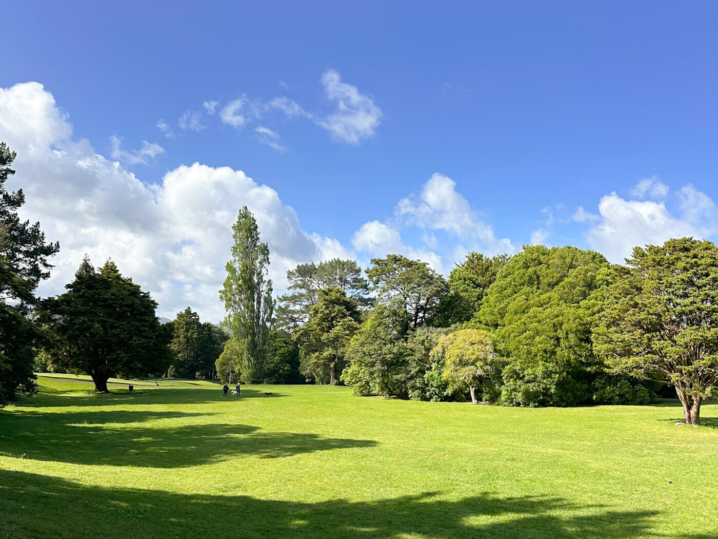 A wide, sunlit view of the lush green lawns and established trees at Harcourt Park in Upper Hutt, Wellingtonโthe real-world filming location used for the Gardens of Isengard in The Lord of the Rings