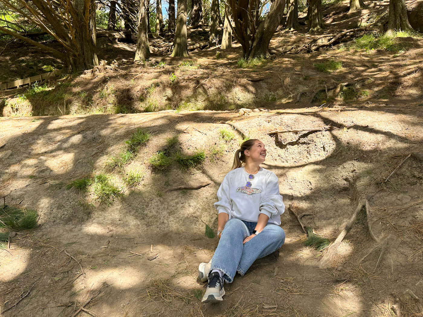 A traveler sits in a dirt hollow beneath a tree on Mount Victoria in Wellington, New Zealandโthe filming location where the Hobbits hid 'off the road' from the Ringwraith in The Lord of the Rings