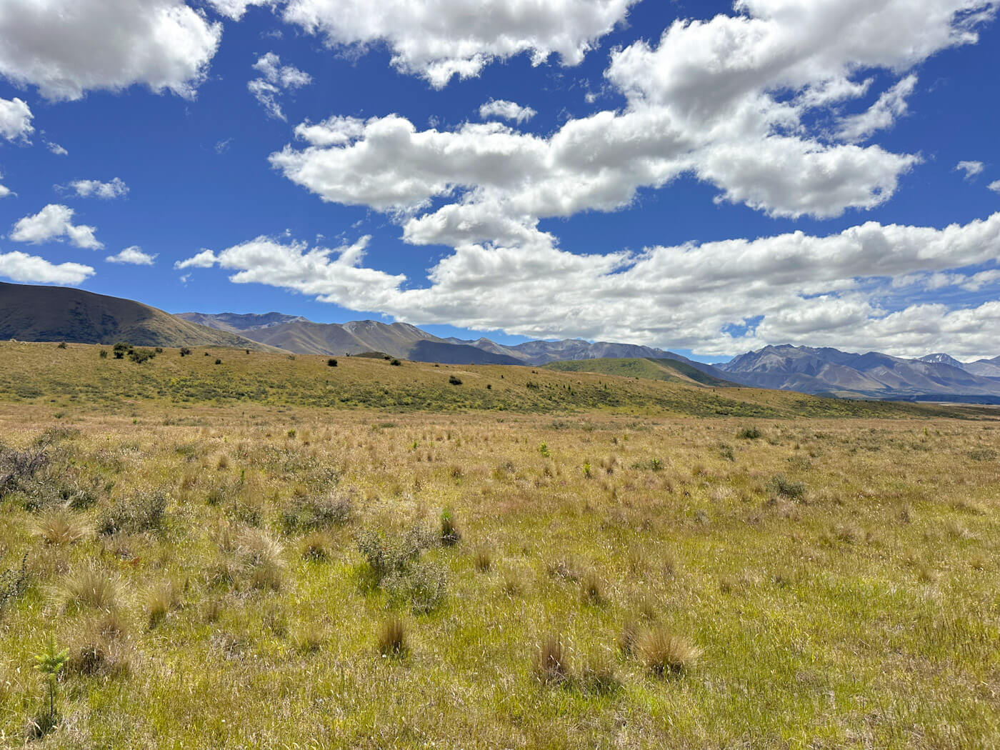 To round out your collection for Pelennor Fields, here is the alt text for this expansive landscape shot. It provides a perfect contrast to the nearby Peace Ring monument.