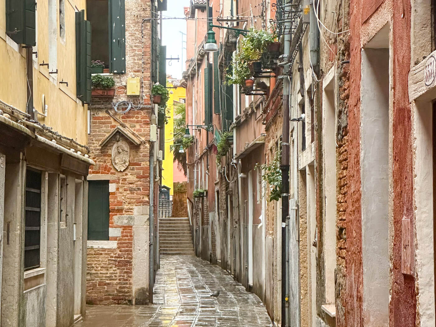 A narrow, wet cobblestone alleyway in Venice, Italy, flanked by tall, weathered buildings in shades of terracotta, ochre, and brick red. The damp pavement reflects the soft light, and a small bird stands in the center of the path. The buildings feature green shutters, potted plants hanging from balconies, and a small religious relief carved into a brick wall. In the distance, the alley leads toward a small set of stone steps and a glimpse of a bright yellow building under an overcast sky.