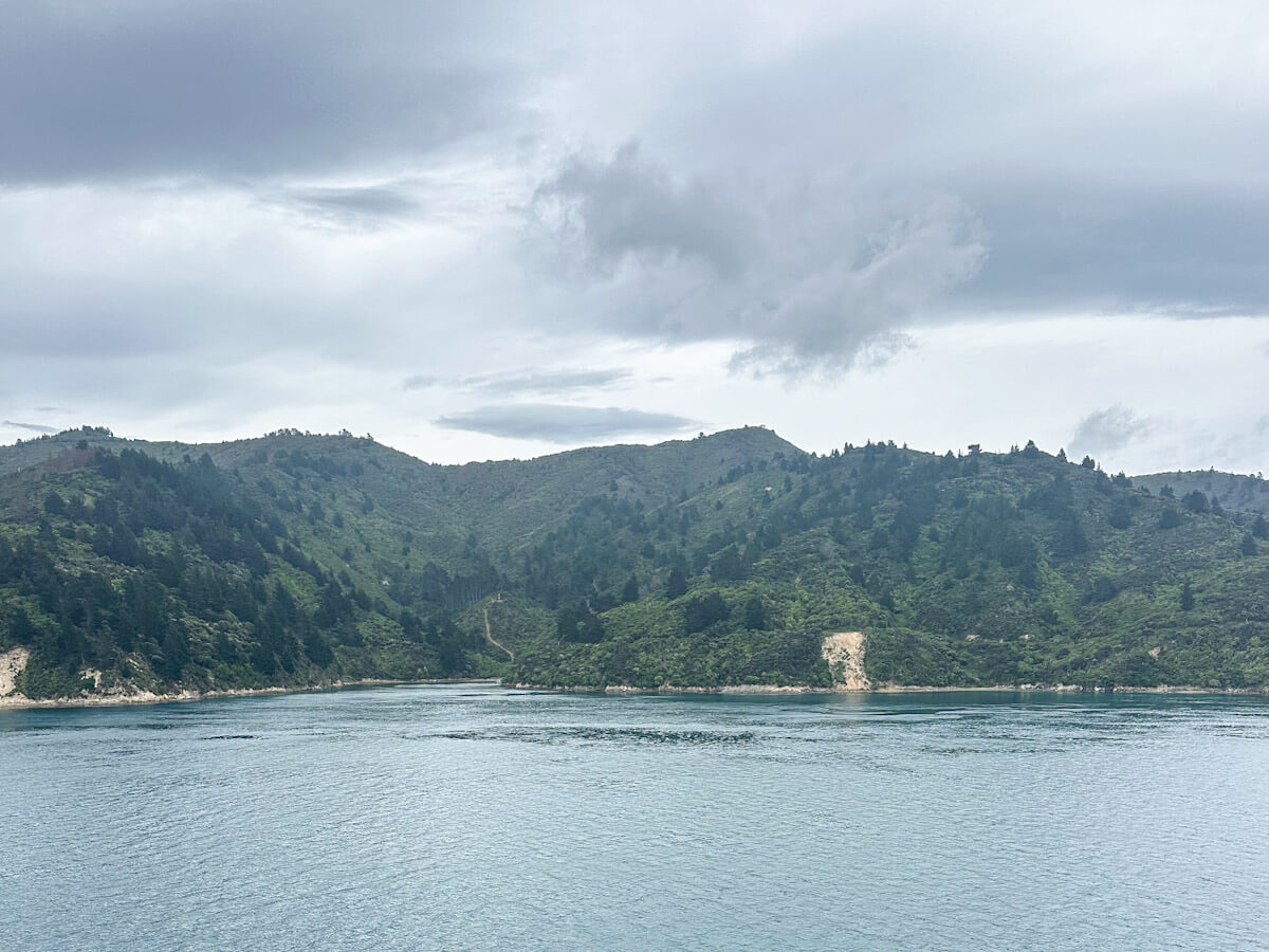 The view from the deck of an Interislander ferry leaving Wellington, showing the rugged coastline and hills surrounding the harbour. Taking a scenic boat trip is a classic choice for what to do in Wellington to see the city from the water.