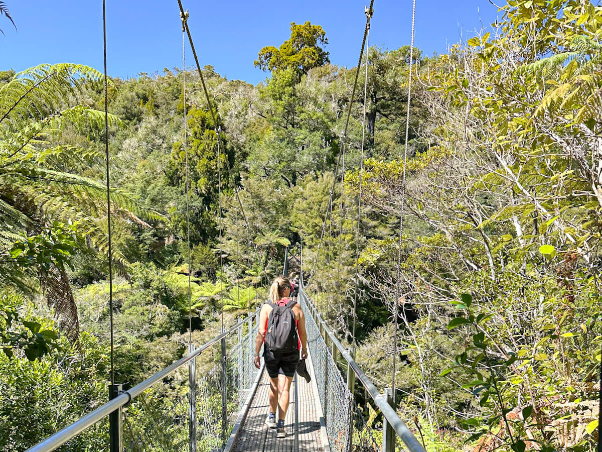 Charlie walks across the iconic Falls River suspension bridge on the Abel Tasman Coast Track, surrounded by a canopy of lush native tree ferns and forest.