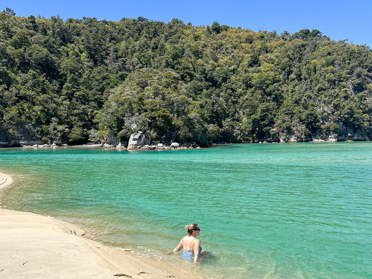 Charlie is sitting in the crystal-clear turquoise waters of Torrent Bay in Abel Tasman National Park, with the golden sandbar and lush forested hills in the background.
