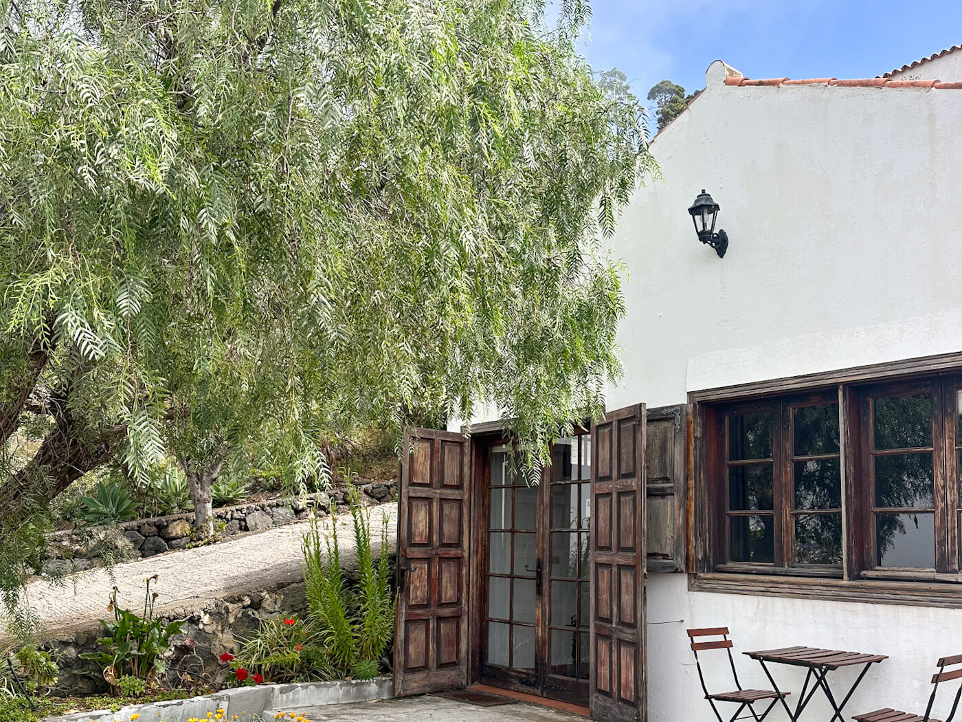 A traditional whitewashed Canarian house with rustic wooden doors and windows shaded by a leafy weeping pepper tree at Bodegas Carballo in Hoyo de Mazo, highlighting local wine culture among things to do in La Palma.