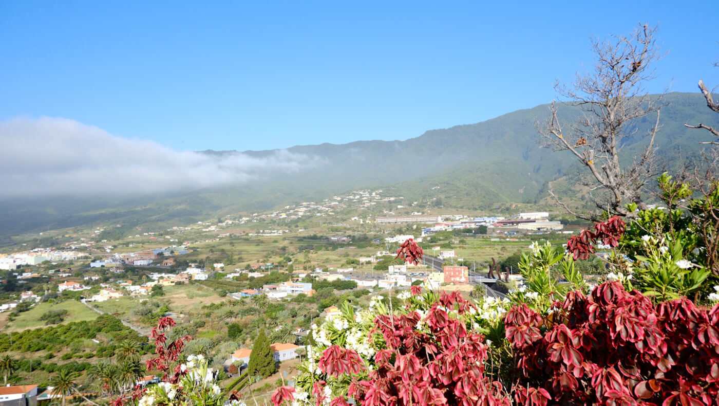 A panoramic view of lush green valleys, towns, and rolling hills framed by vibrant red flowers from Mirador de la Concepción, a scenic stop for things to do in La Palma.