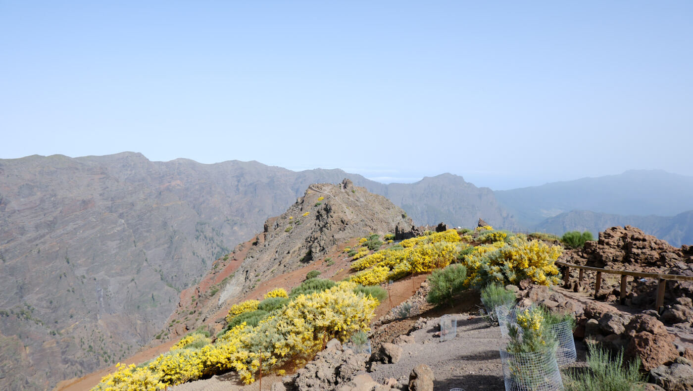A sweeping panoramic view from Roque de los Muchachos over rugged mountain ridges blanketed with bright yellow alpine shrubs, showcasing high-altitude landscapes as one of the best things to do in La Palma.