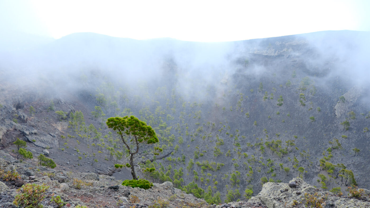 Looking down into the wide, misty crater of San Antonio Volcano dotted with resilient green pine trees, a must-see for things to do in La Palma.