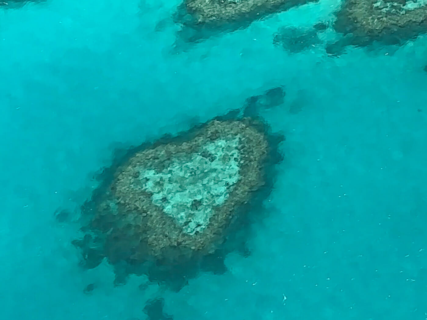 An aerial view of the famous Heart Reef, a natural heart-shaped coral formation surrounded by vibrant turquoise ocean waters in Queensland, Australia