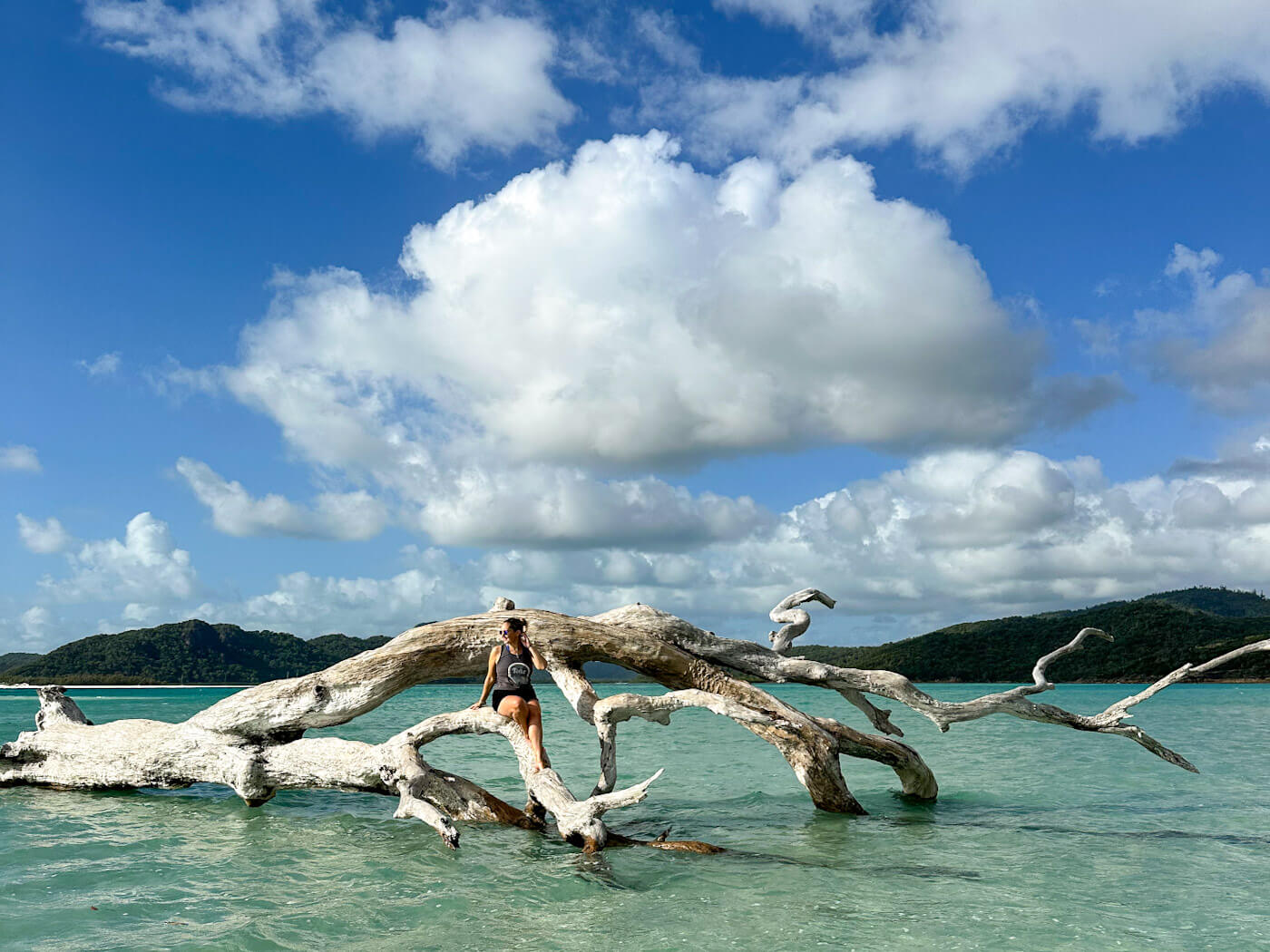 Charlie is sitting on a large bleached driftwood tree resting in the turquoise shallow water of Whitehaven Beach, with green islands and a dramatic cloudscape overhead during a trip sailing the Whitsundays.