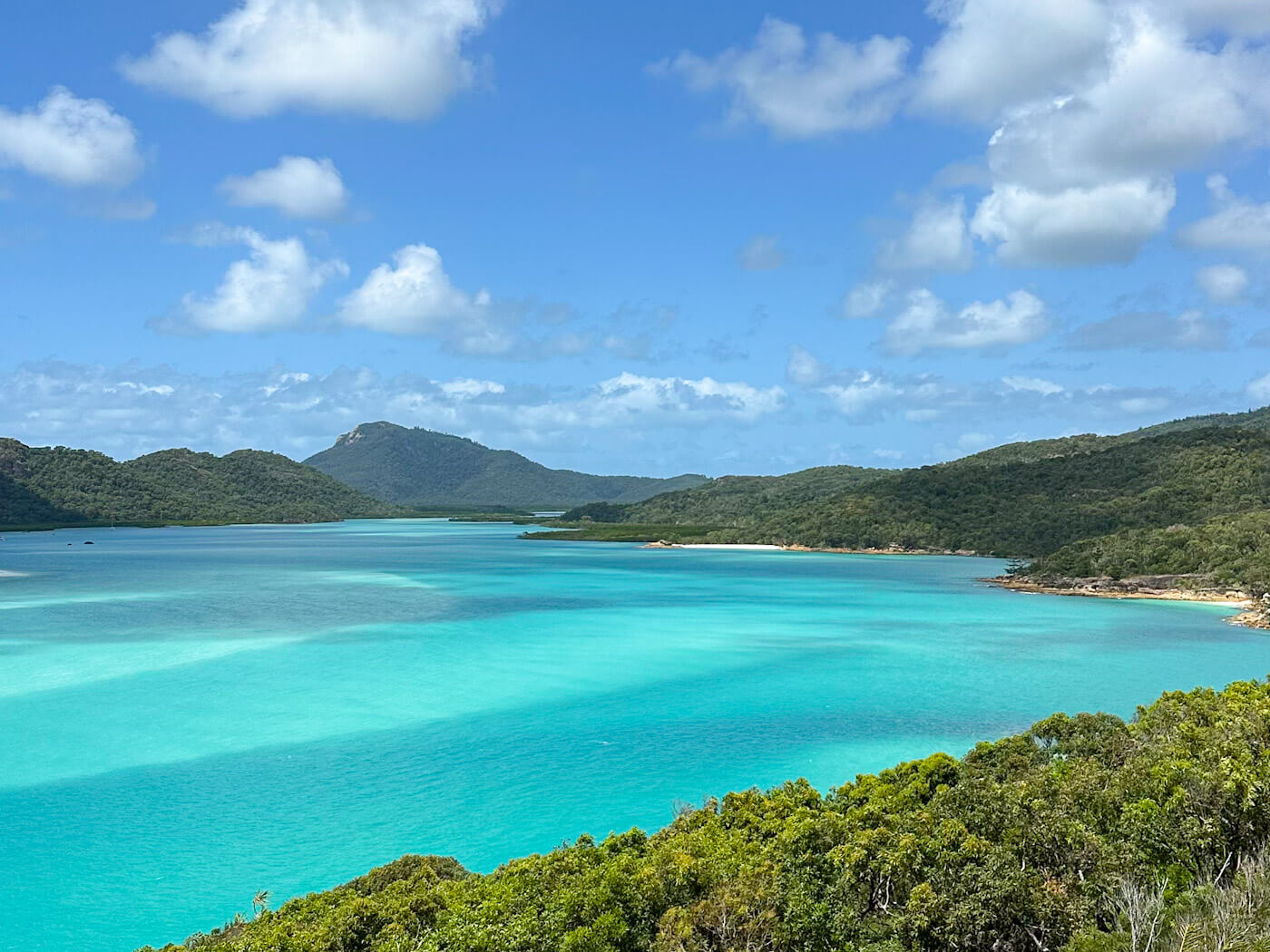 A scenic landscape view of lush green tropical islands framing vibrant turquoise and blue waters during a trip sailing the Whitsundays, under a blue sky filled with fluffy white clouds.