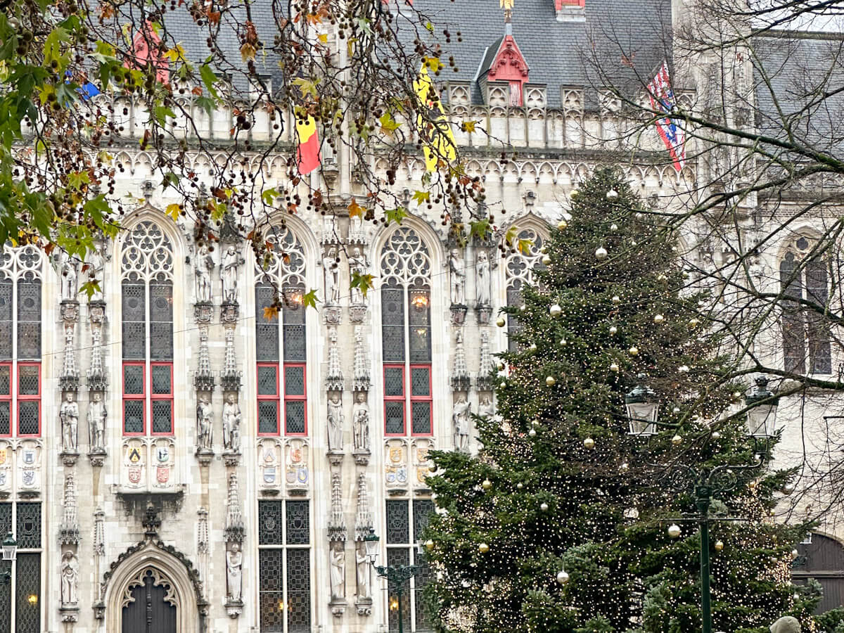 The large illuminated Christmas tree standing in front of the ornate architecture on the Burg square during Bruges at Christmas
