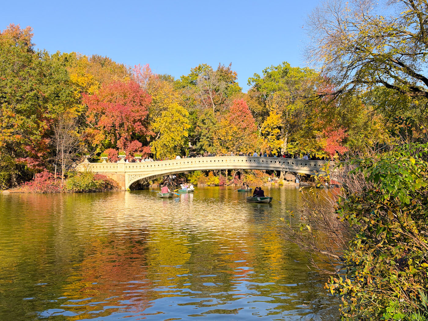 Wide view of Bow Bridge over The Lake in Central Park surrounded by vibrant red, yellow, and orange fall foliage.